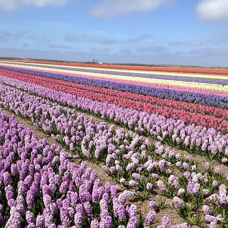 Ferienbungalow Abbes Mit Garten Und Terrasse By Interhome Hébergement de vacances
