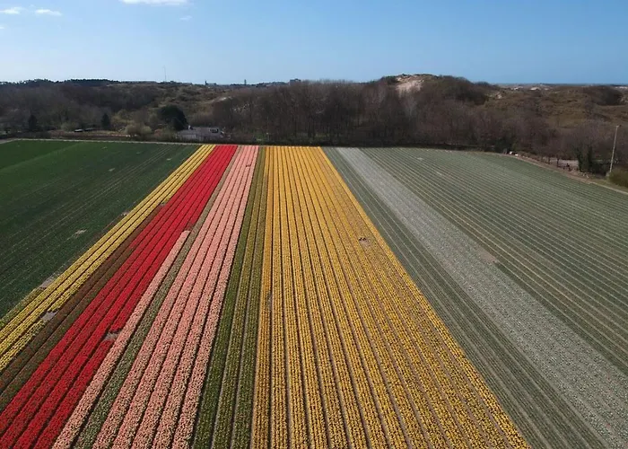Hébergement de vacances Ferienbungalow Abbes Mit Garten Und Terrasse By Interhome *