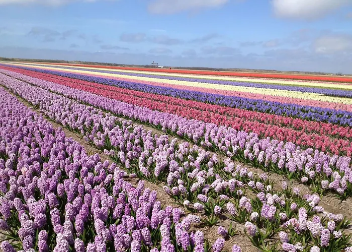 Ferienbungalow Abbes Mit Garten Und Terrasse By Interhome Hébergement de vacances
