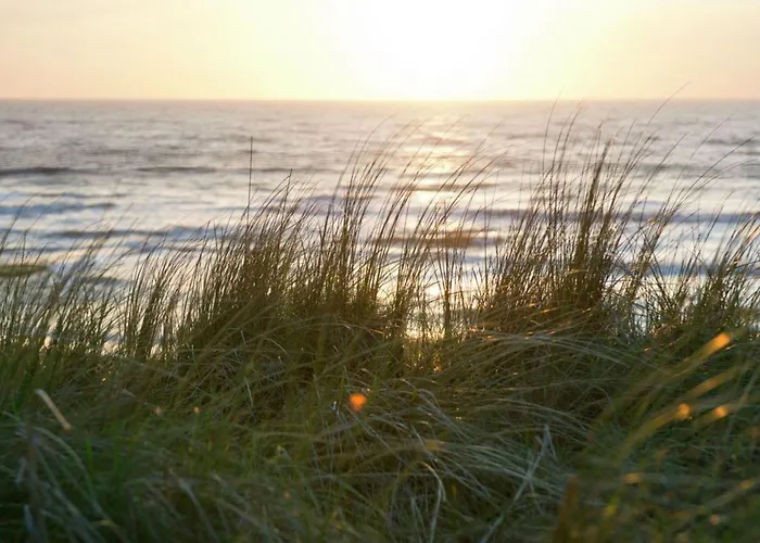Hébergement de vacances Ferienbungalow Abbes Mit Garten Und Terrasse By Interhome